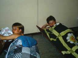 0DIA 1985 RAVA PUPS 1
